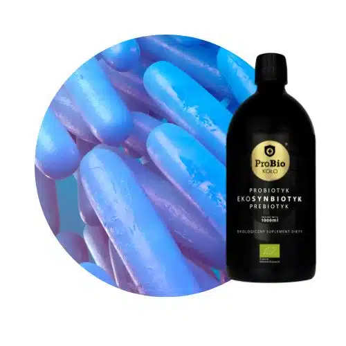 Badanie poziomu bakterii kwasu mlekowego w EkoSynbiotyku